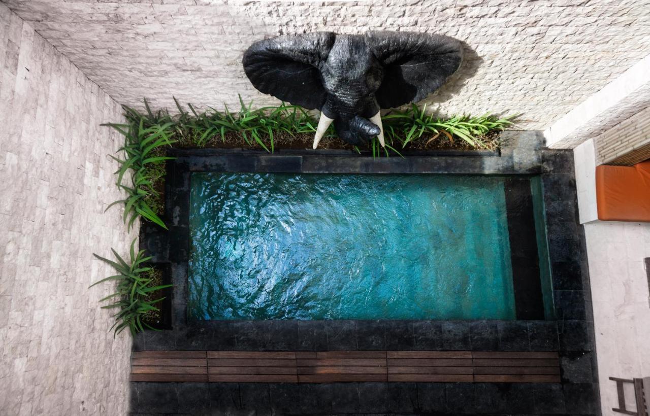 Colibry Villa Sanur  Luaran gambar